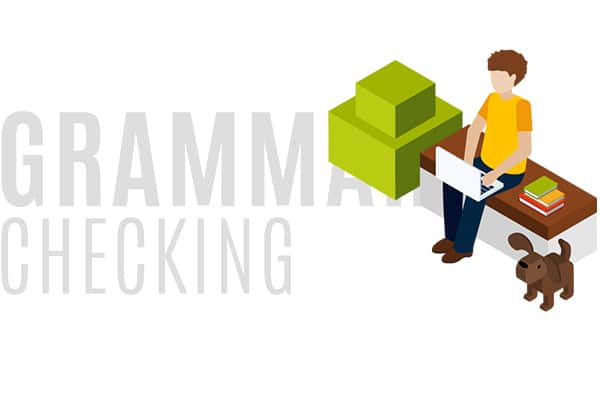 Grammar Checking