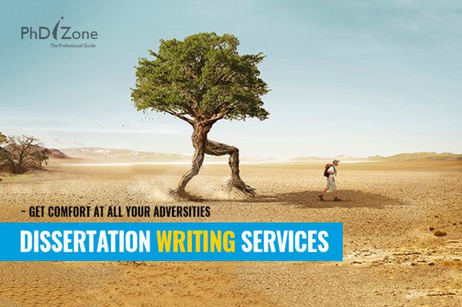 Professional Dissertation Writers